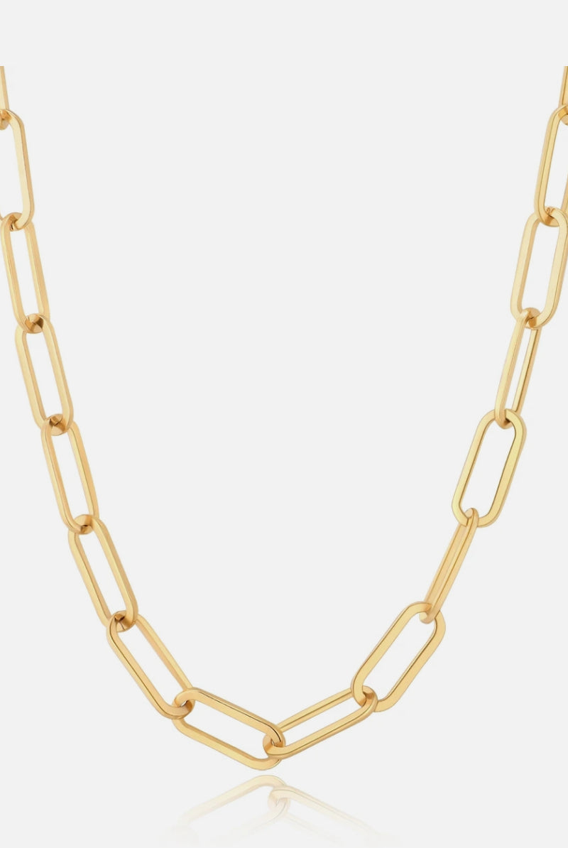 Gold Stainless Steel Thick Clip Chain Necklace-Bijou Crush