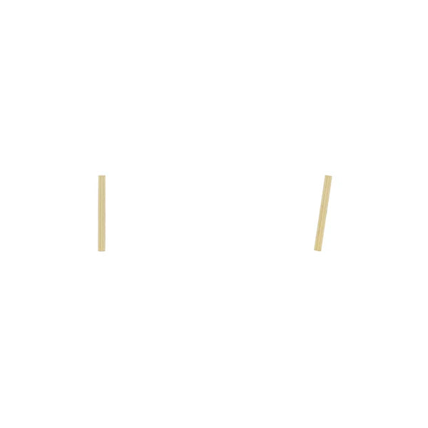 Thin Line Studs-Bijou Crush