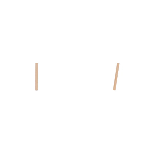 Thin Line Studs-Bijou Crush