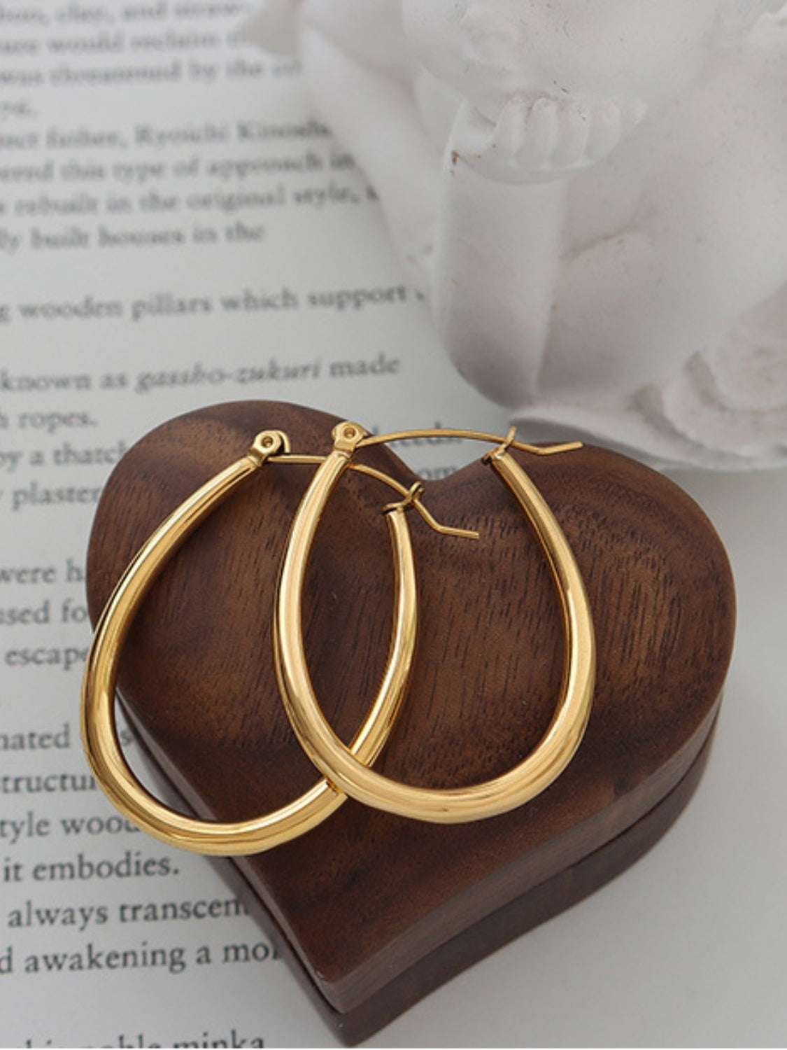 18K Gold-Plated Titanium Steel Earrings-Bijou Crush