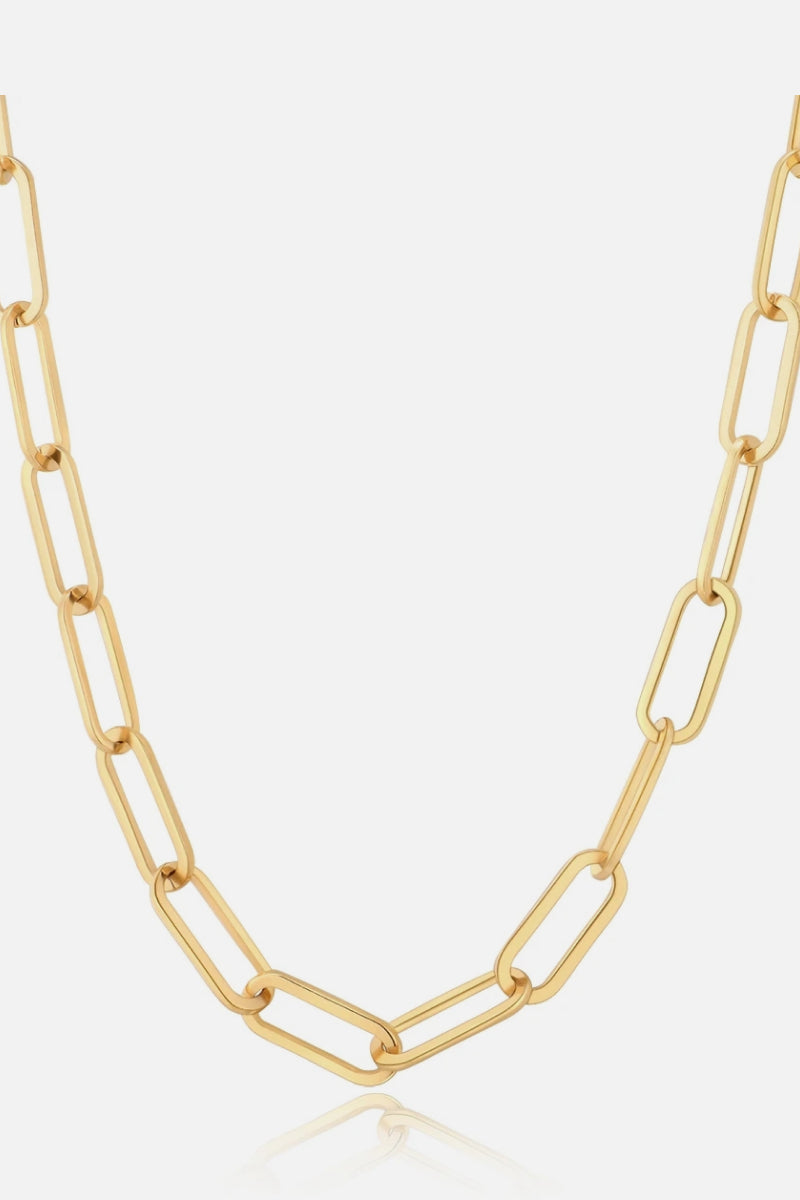 Gold Stainless Steel Thick Clip Chain Necklace-Bijou Crush