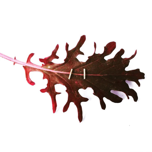 Thin Line Studs-Bijou Crush