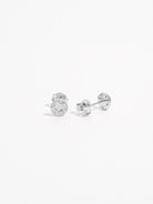 925 Sterling Silver Zircon Star Stud Earrings-Bijou Crush