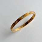 Simple Style Round Titanium Steel Plating Inlay Zircon 18K Gold Plated Bangle-Bijou Crush